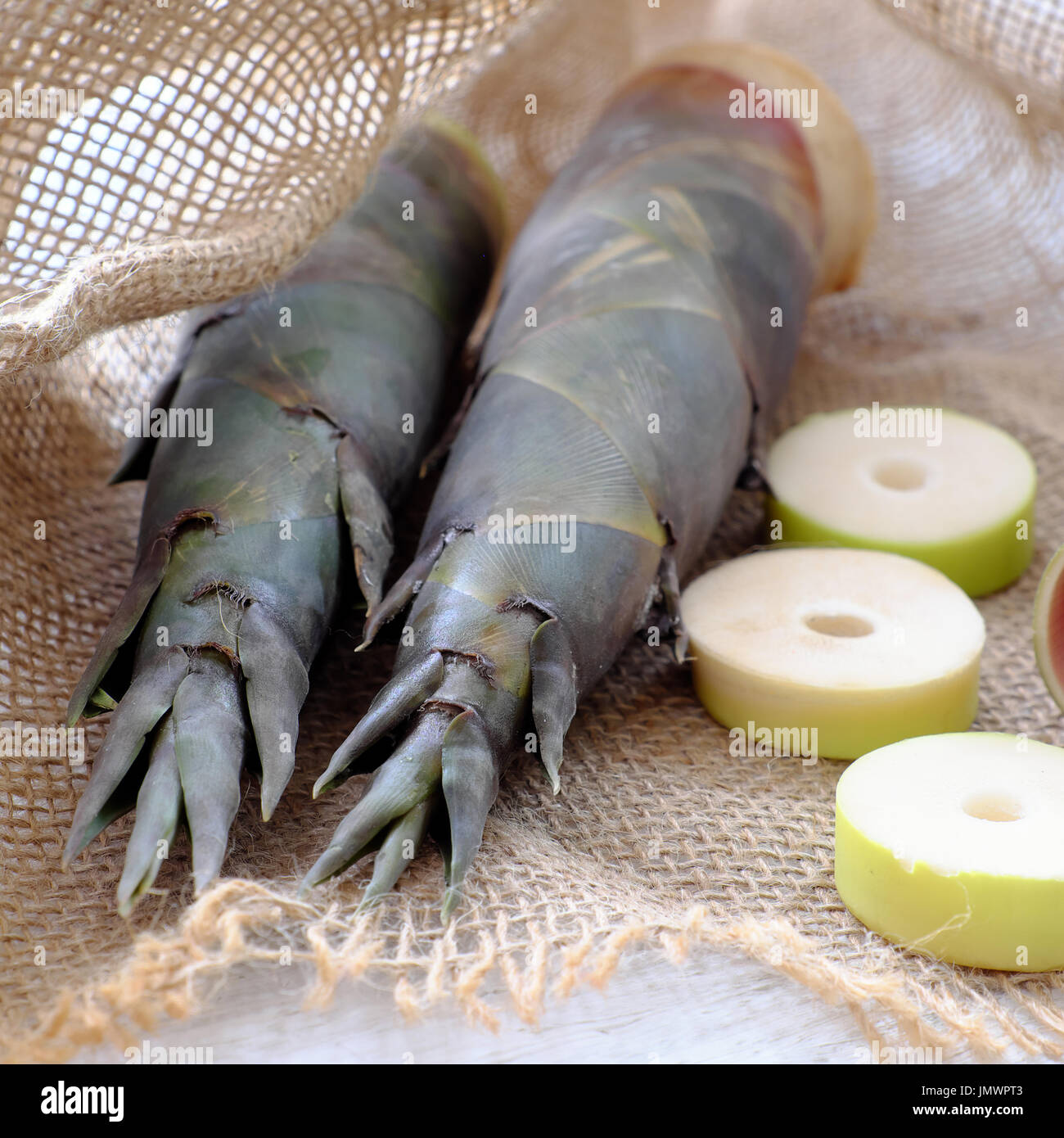 Nahaufnahme von zwei Bambussprossen auf Sackleinen Hintergrund, beliebtes Vietnam Gemüse in der Regenzeit Stockfoto
