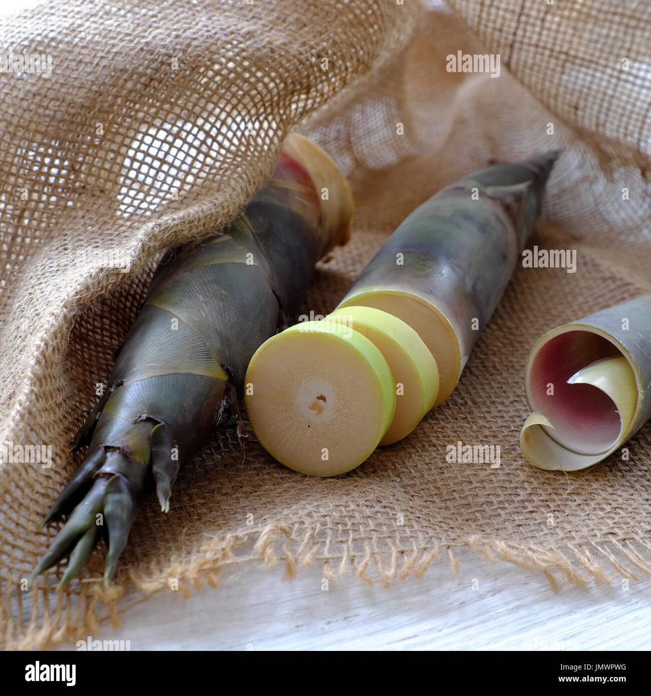 Nahaufnahme von zwei Bambussprossen auf Sackleinen Hintergrund, beliebtes Vietnam Gemüse in der Regenzeit Stockfoto