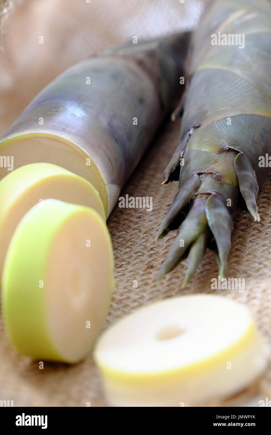 Nahaufnahme von zwei Bambussprossen auf Sackleinen Hintergrund, beliebtes Vietnam Gemüse in der Regenzeit Stockfoto