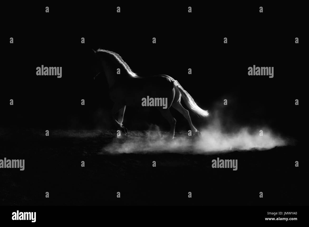 Hervorgehobener Umriss eines laufenden Pferdes. Unaufdringlich, schwarz / weiß Bild. Stockfoto