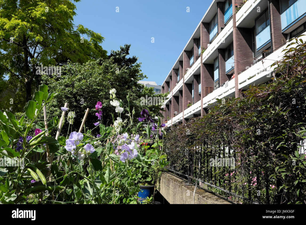 Gemeinschaftsgarten und Wohnungen auf der Golden Lane Estate in der Stadt London EC2 UK KATHY DEWITT Stockfoto