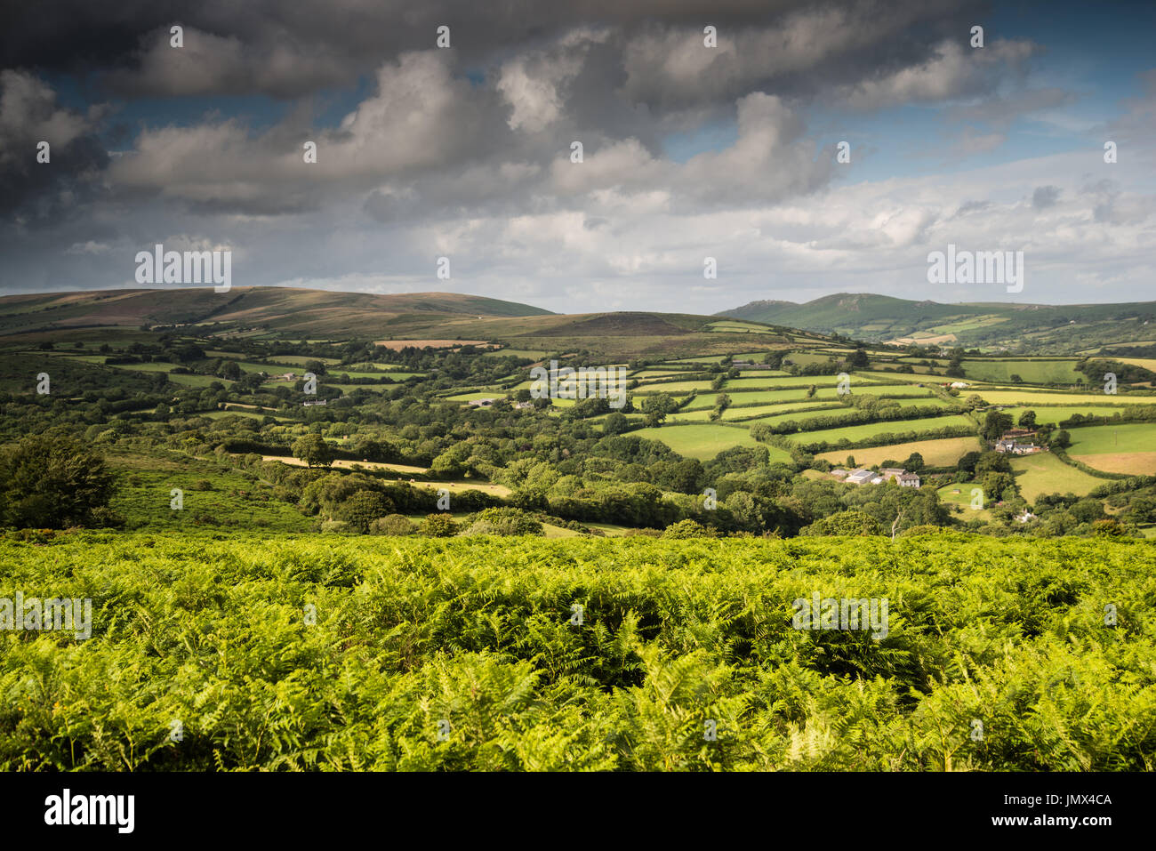 Die grünen Hügeln an einem sonnigen Sommertag im Nationalpark Dartmoor, Devon, England, Großbritannien Stockfoto
