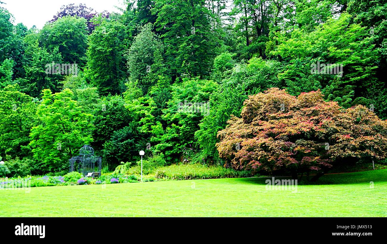 Pflanzen in einem Park in Baden-Baden, Baden-Württemberg, Deutschland Stockfoto