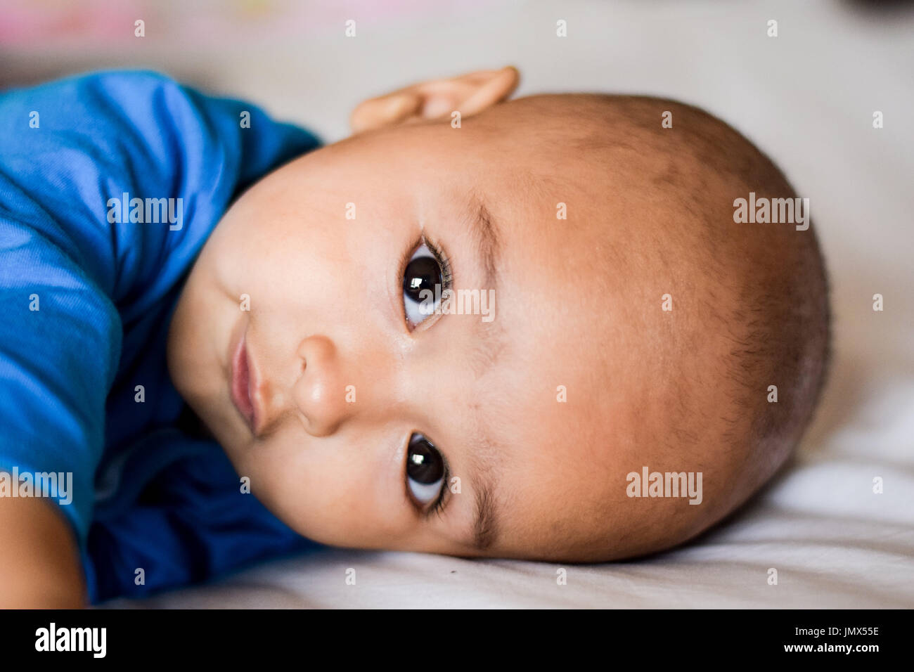 7 Monate altes Baby in Kamera Stockfoto