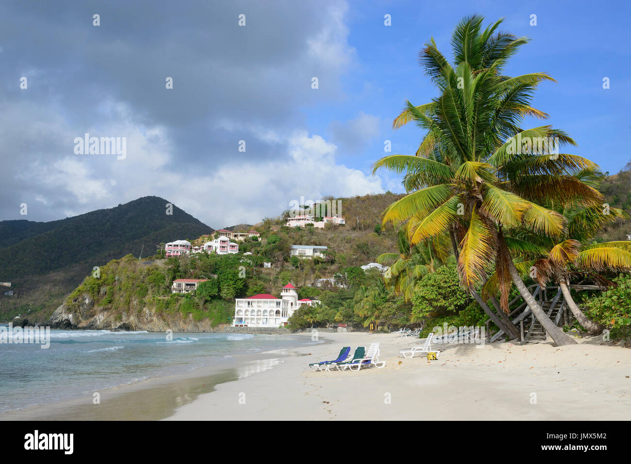 Sandy Beach und Palm Tree Island Tortola, Britische Jungferninseln, Karibik Stockfoto