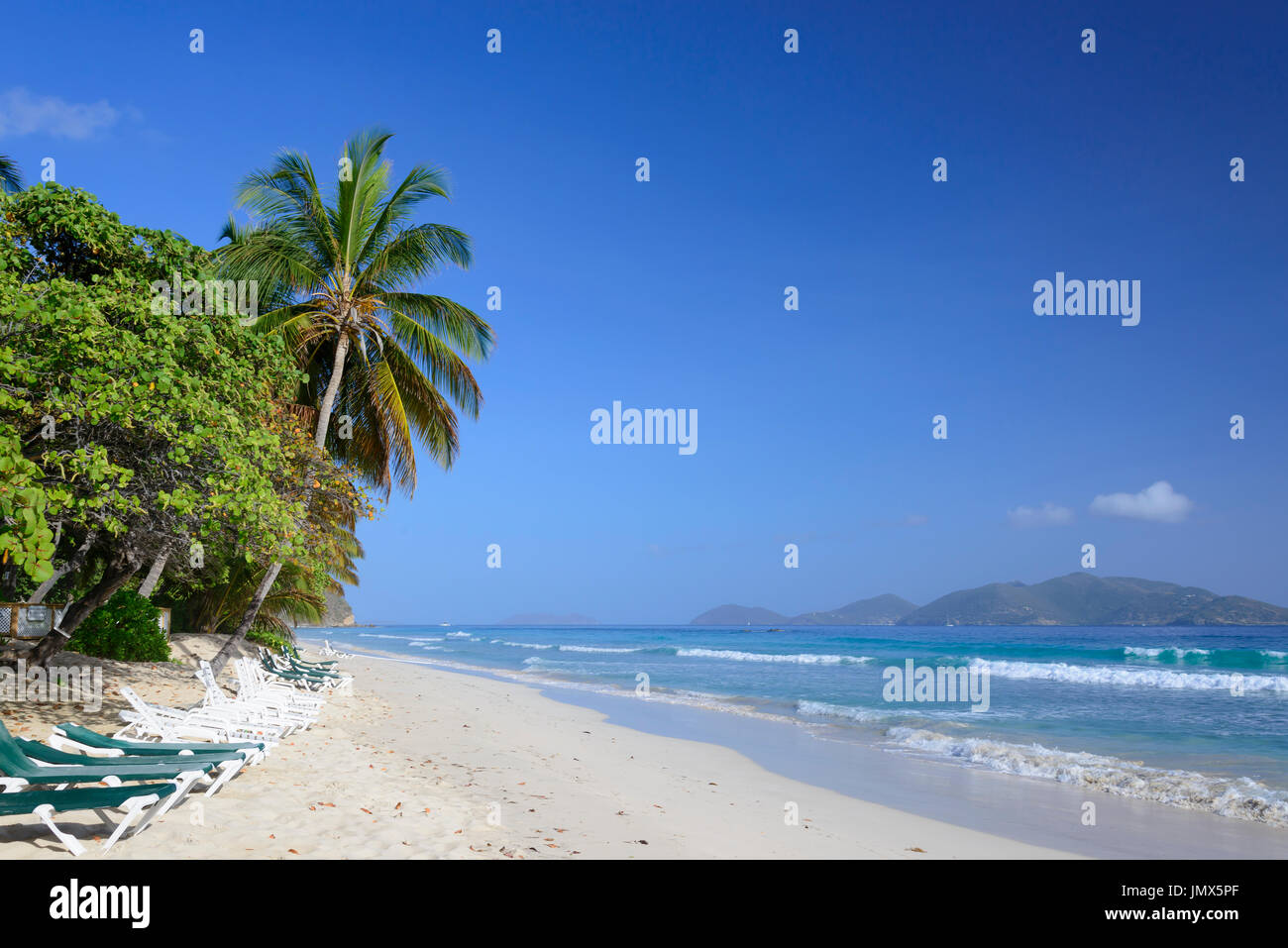 Sandy Beach und Palm Tree Island Tortola, Britische Jungferninseln, Karibik Stockfoto