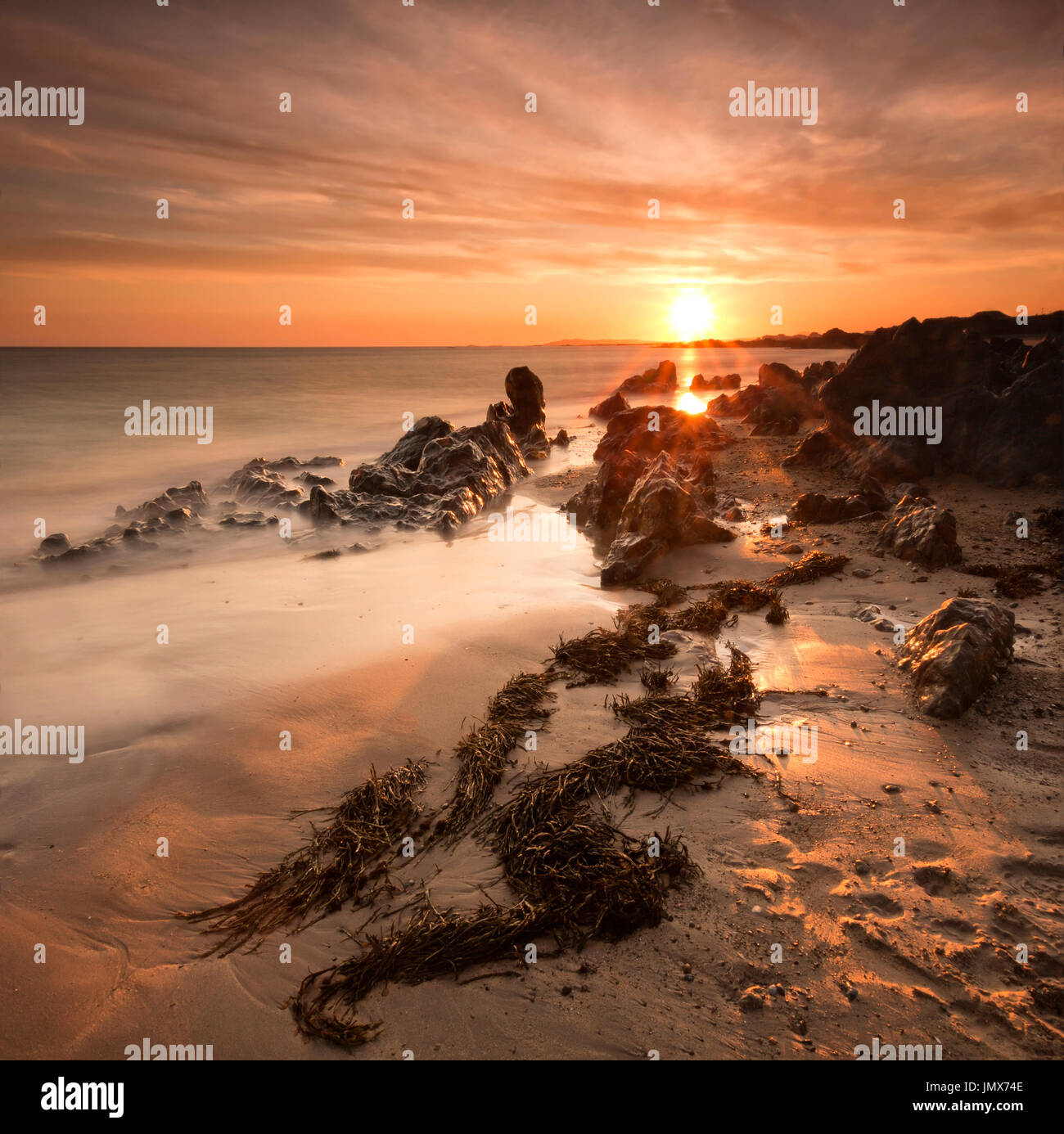 Eine dramatische Strand, Felsen und Algen Sonnenuntergang in der Nähe der Sommersonnenwende auf der schönen Insel Anglesey genommen. Stockfoto