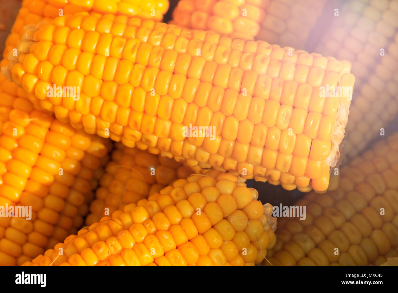 Leckere Mais gekocht vom Chef, Essen kreative Fotos Stockfoto