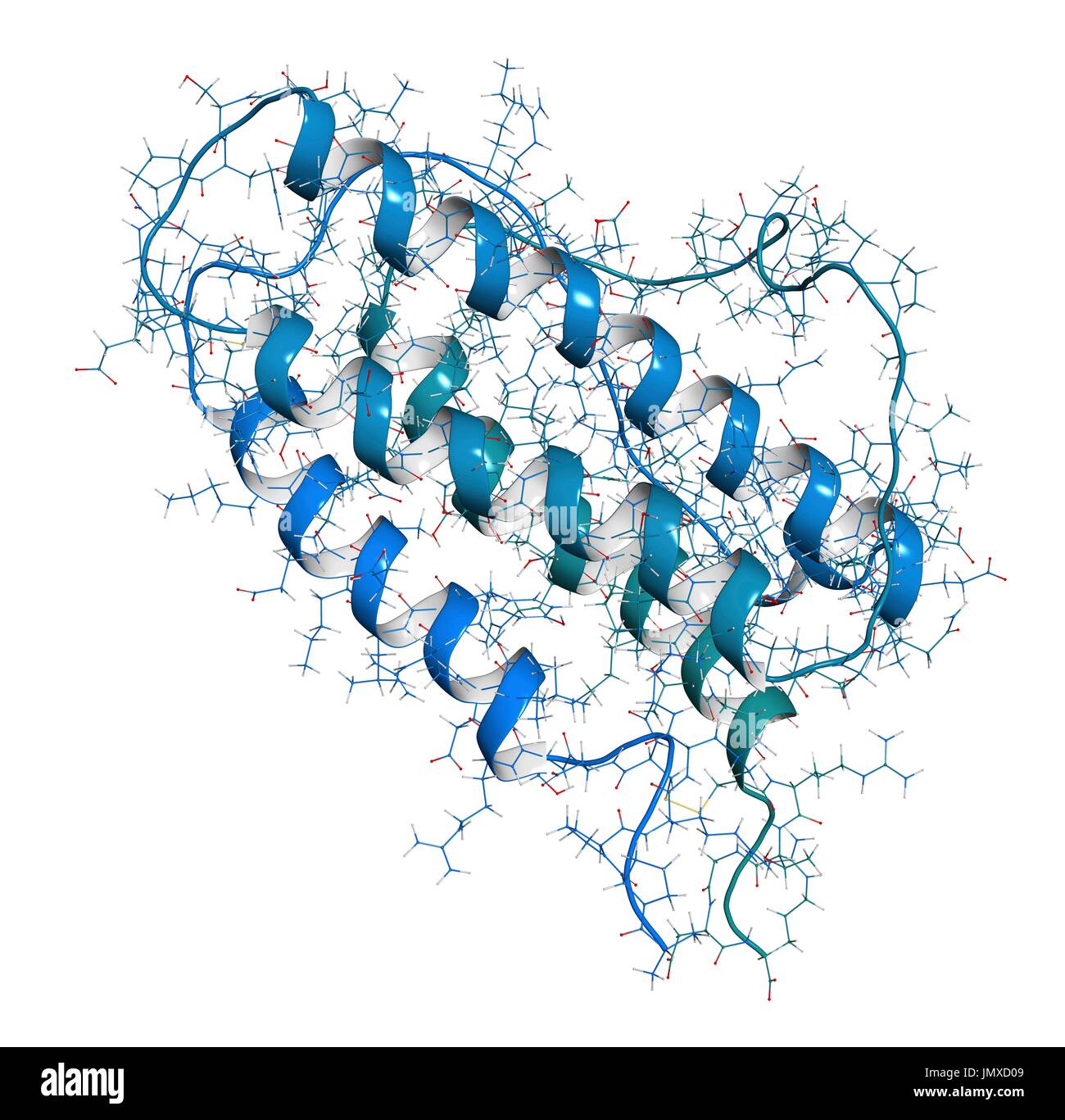 Erythropoetin (menschliche EPO, Epoetin) Protein Hormon. Stimuliert die Produktion von roten Blutkörperchen. Als Medizin und im Sport doping verwendet. Kombinierte Drahtmodell und Cartoon-Modell. Cartoon und Kohlenstoff-Atome: Rückgrat gradient Färbung (blau-blaugrün); andere Atome: konventionelle Farbkodierung. Stockfoto