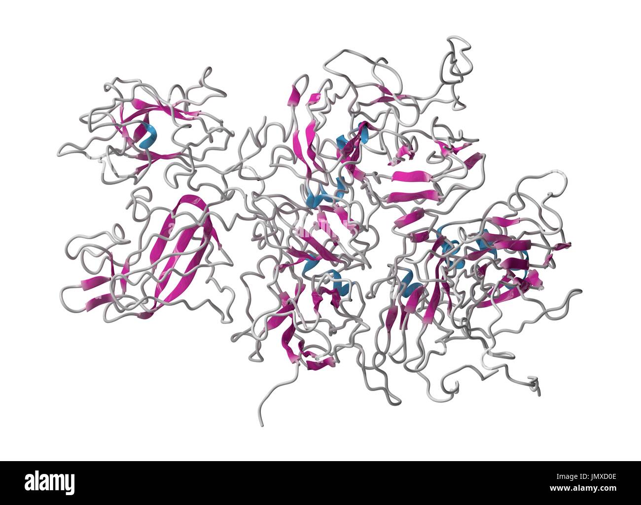 Koagulation Faktor VIII (fVIII) Protein. Mangel verursacht Hämophilie A. Cartoon Model, sekundäre Struktur Färbung (Helices blau, Blätter rosa). Stockfoto