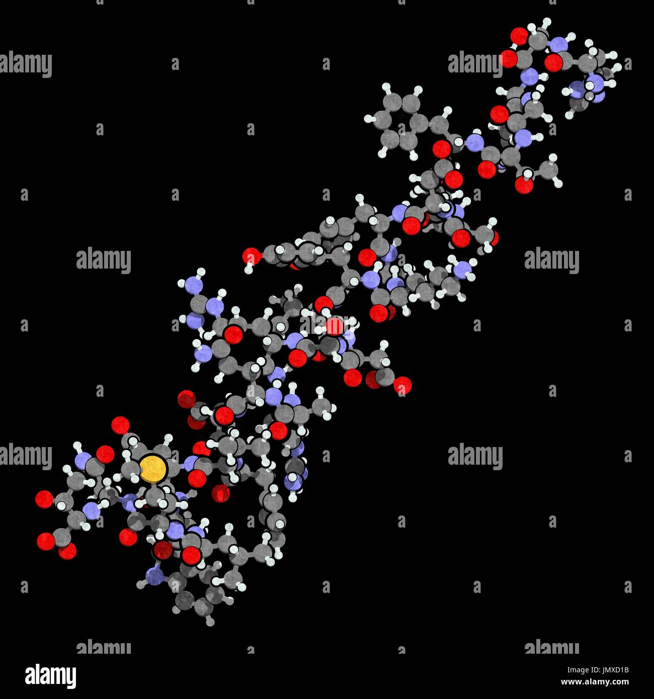 GlukagonPeptidHormon. Blutzuckerspiegel erhöht Effekte, balancieren