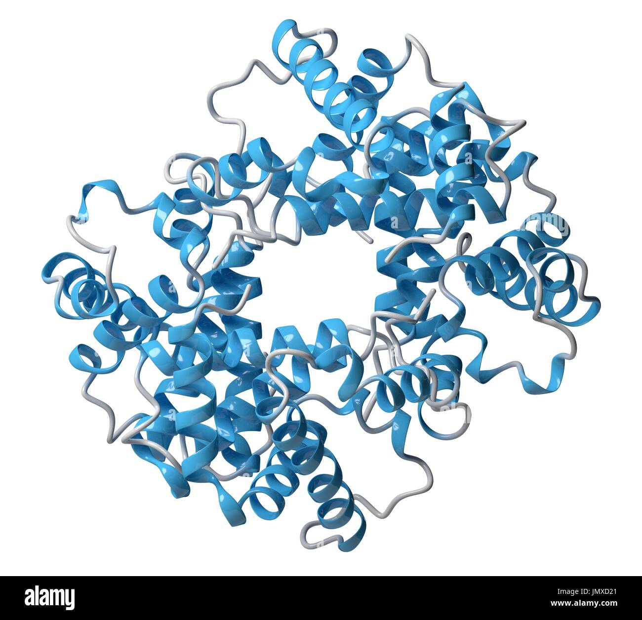 Hämoglobin (Mensch, Hb) Protein. Eisen-haltige Sauerstoff Transportprotein in den Erythrozyten gefunden. Cartoon-Modell, sekundäre Struktur Färbung (Helices blau). Stockfoto