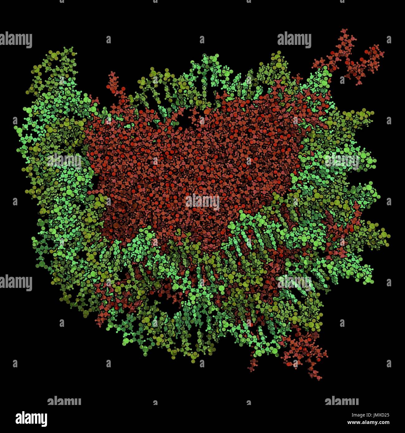 Das Nukleosom besteht aus einem DNA-Doppelhelix um einen Kern von Histonproteine gewickelt. Kugel-Stab-Modell. DNA farbig grün, rote Histon. Stockfoto