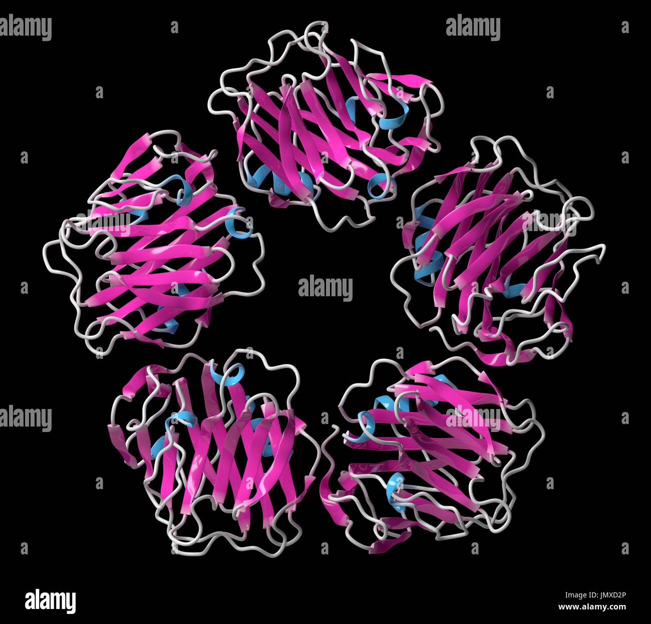 C reaktive protein Fotos und Bildmaterial in hoher Auflösung Alamy