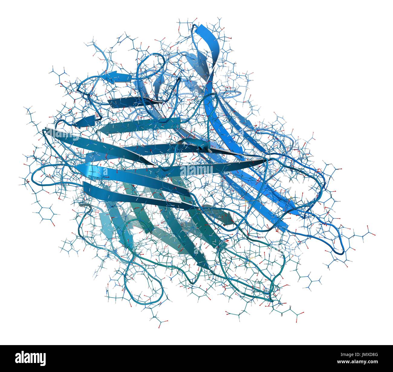 Tumor Nekrose Faktor alpha (TNF) Zytokin Eiweißmolekül. Klinisch verwendete Inhibitoren zählen unter anderem Dosiserhöhung, Certolizumab, Infliximab und Etanercept und werden verwendet, um Krankheiten wie Morbus Crohn, Psoriasis und rheumatoider Arthritis zu behandeln. Kombinierte Drahtmodell und Cartoon-Modell. Cartoon und Kohlenstoff-Atome: Rückgrat gradient Färbung (blau-blaugrün); andere Atome: konventionelle Farbkodierung. Stockfoto