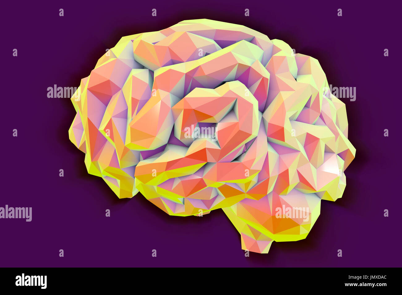 Menschliche Gehirn, niedrig-polygonale Computer Illustration. Stockfoto