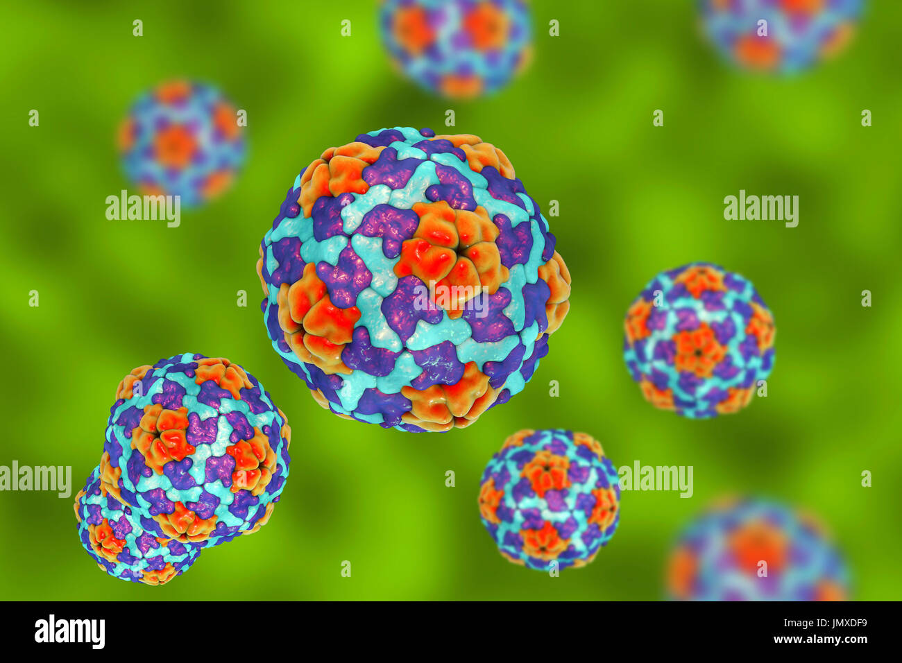 Hepatitis A Viren Abbildung Hepatitis A Wird Durch Infizierte Speisen Oder Getranke Ubertragen Symptome Grippeahnliche Symptome Wie Fieber Und Krankheit Zusammen Mit Gelbsucht Stockfotografie Alamy Hepatitis A Viren Abbildung Hepatitis A Wird Durch Infizierte Speisen Oder Getranke Ubertragen Symptome Grippeahnliche Symptome Wie Fieber Und Krankheit Zusammen Mit Gelbsucht Stockfotografie Alamy