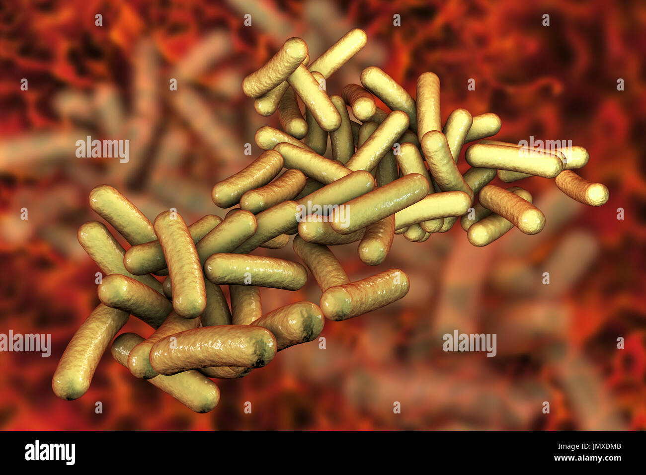 Shigella Bakterium, Computer Bild. Shigella SP. sind Gram-negative stäbchenförmige Bakterien (Bazillen) und dem Erreger der menschlichen Shigellose. Sie infizieren den Dickdarm und verursachen Dysenterie, die im Schweregrad von einen milden Anfall von Durchfall auf eine akute Infektion variieren kann. Stockfoto