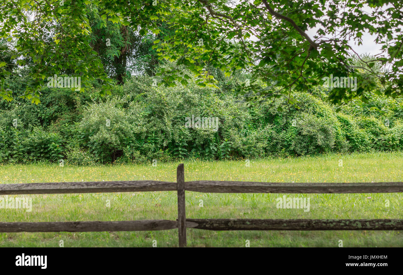 Feld, split Schiene Zaun mit Bäumen im Hintergrund in North Haven ny Stockfoto