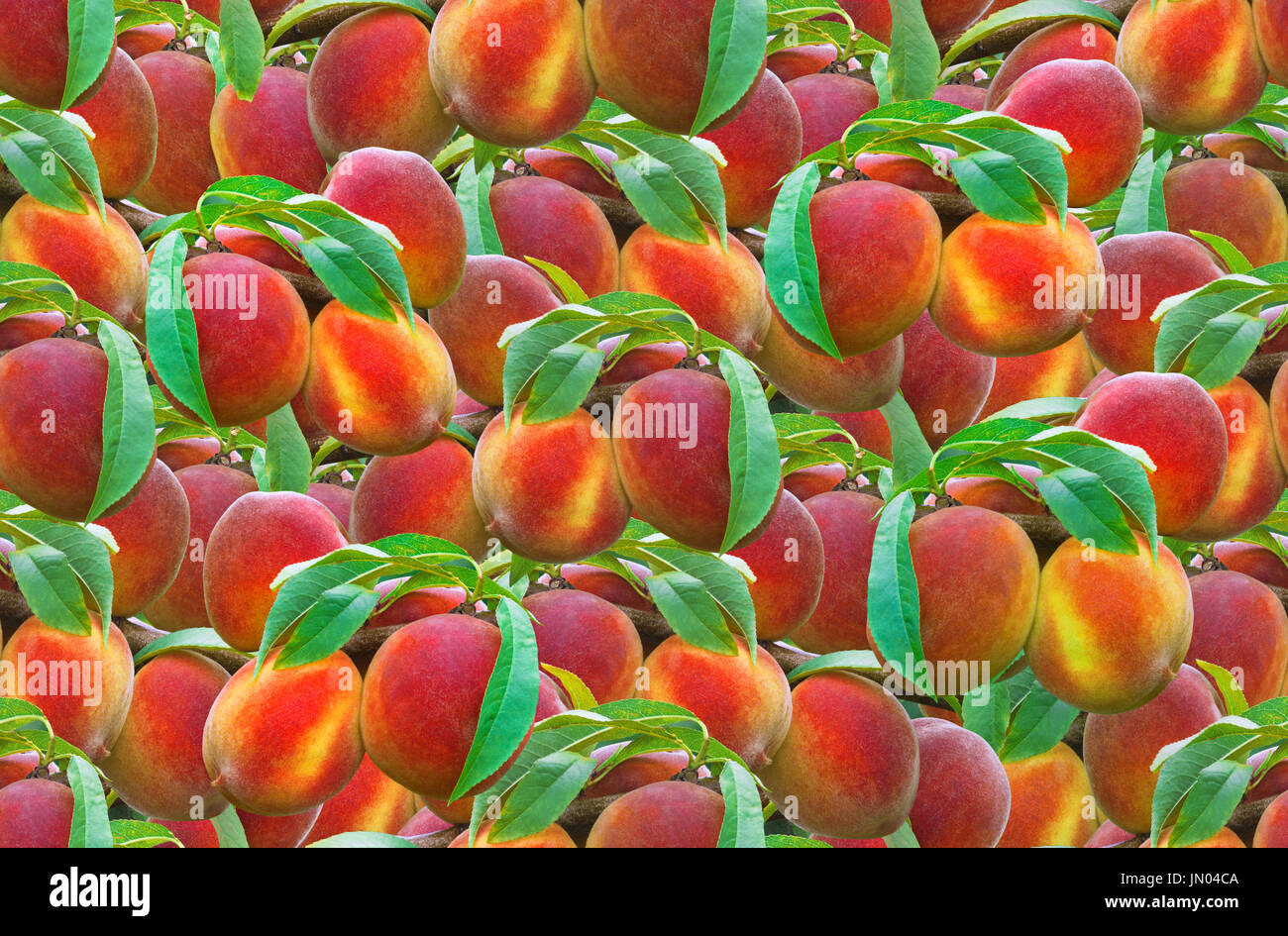 Reifer Pfirsich nahtlose Textur Hintergrund Stockfoto
