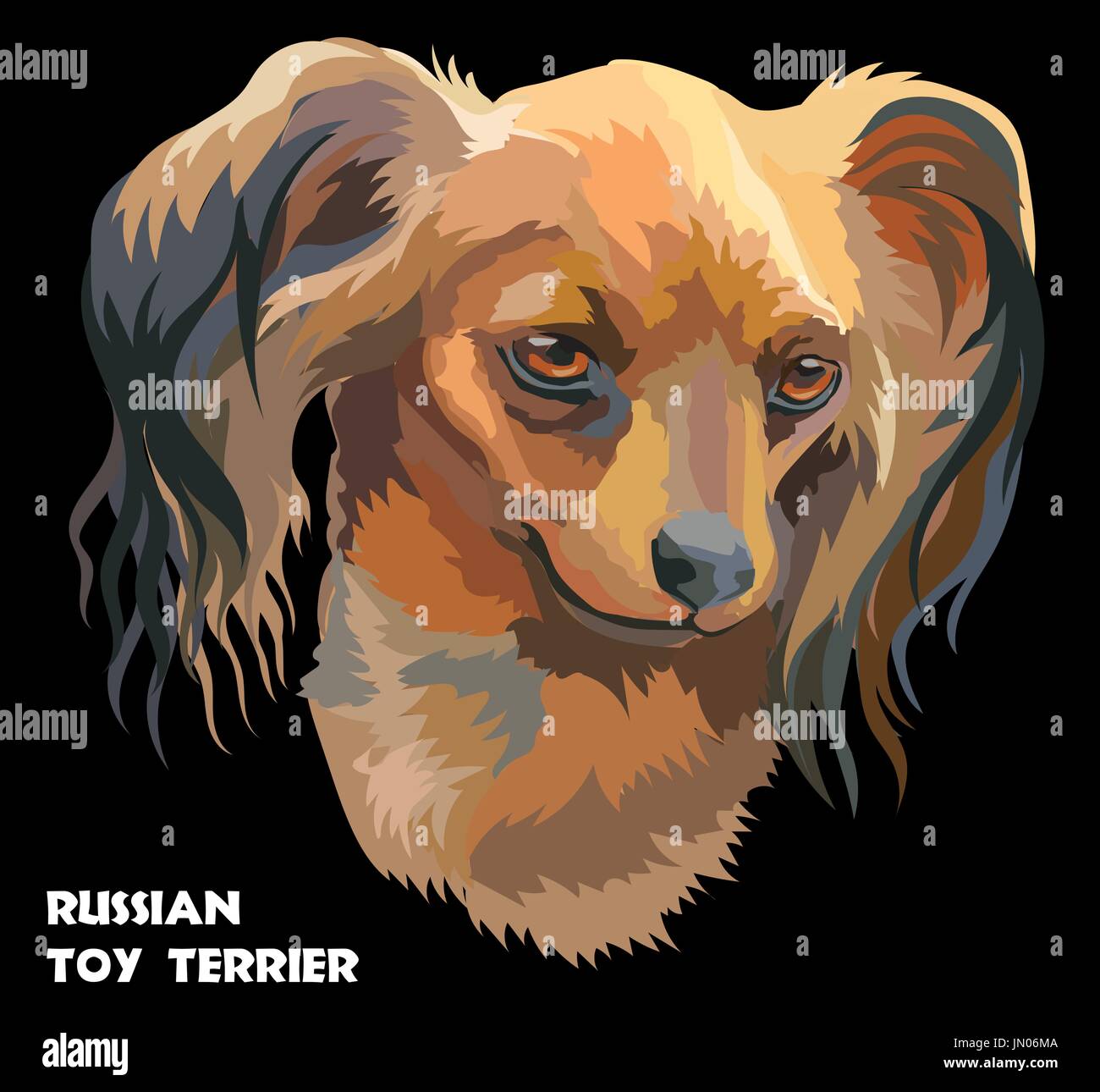 Farbige russische langhaarige Toy Terrier isoliert Vektor Porträt auf schwarzem Hintergrund Stock Vektor
