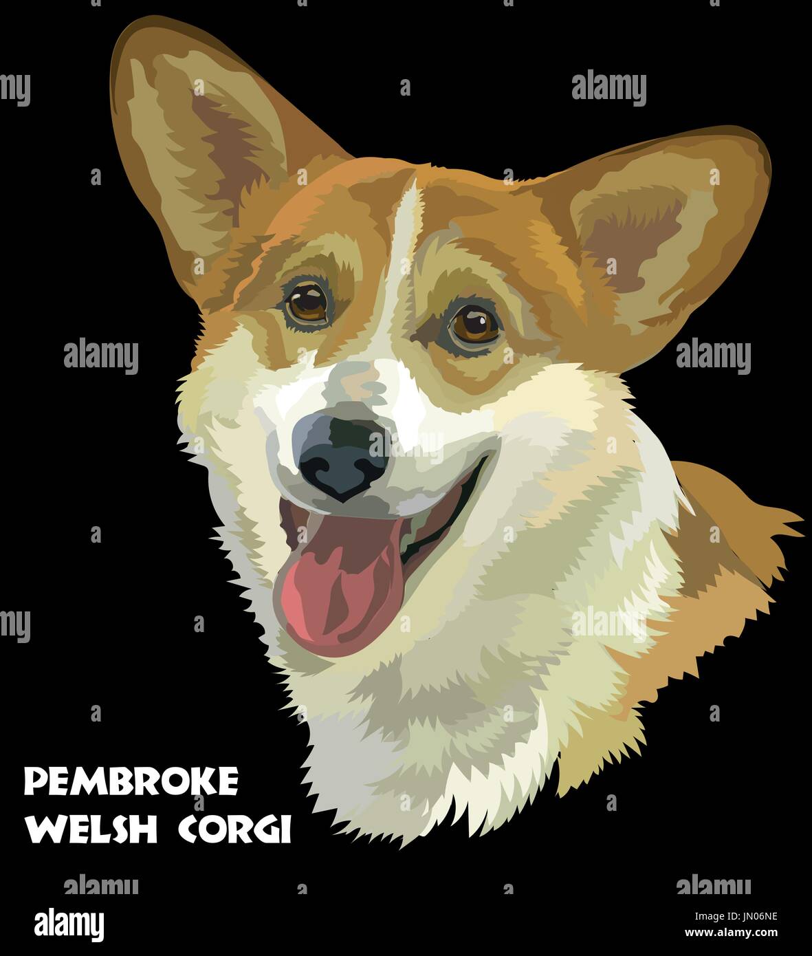 Farbige Pembroke Welsh Corgi, isolierte Vektor Porträt auf schwarzem Hintergrund Stock Vektor