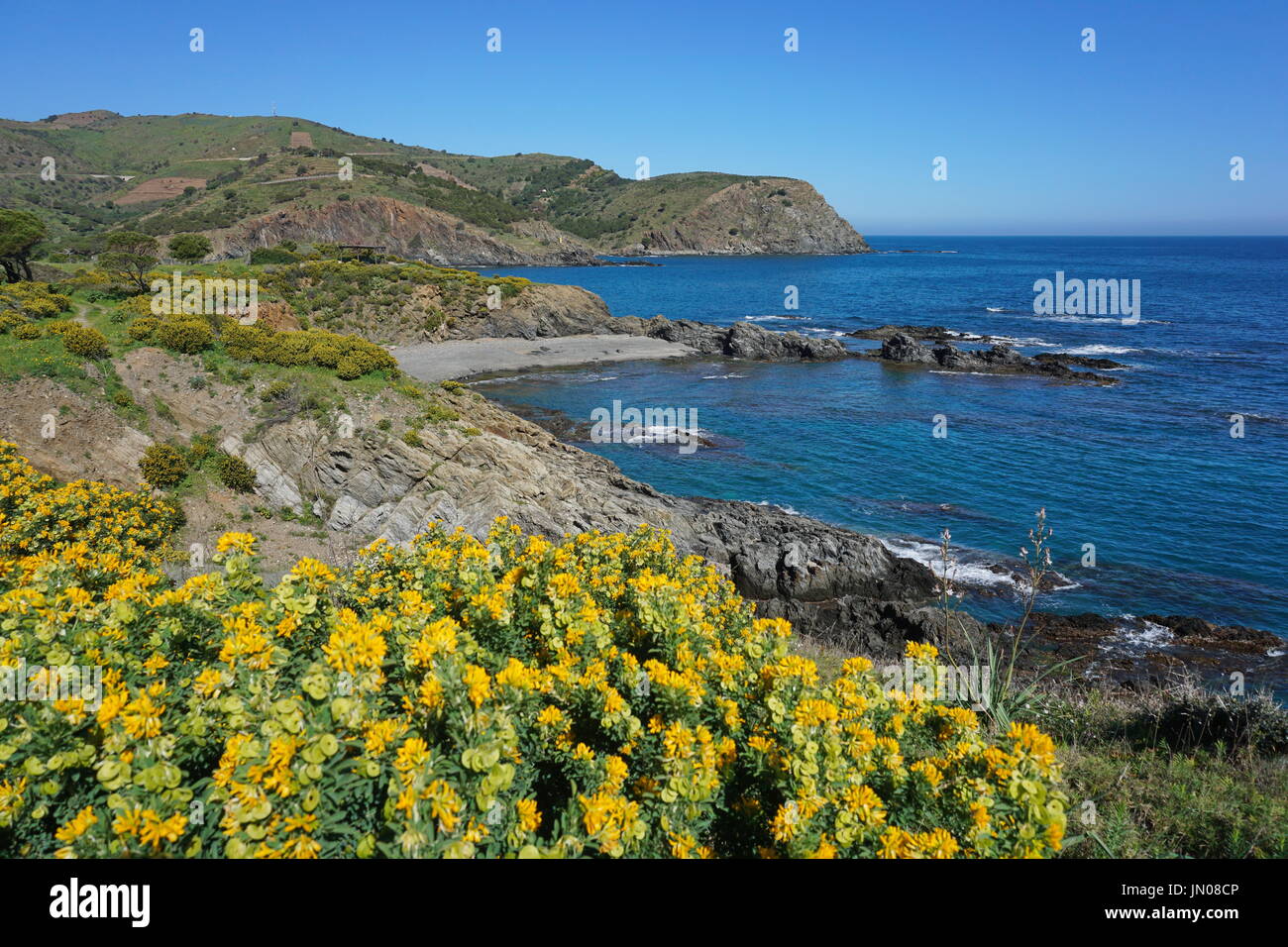Felsigen Mittelmeerküste Pyrenäen Orientales, südlich von Frankreich, Roussillon, Cote Vermeille, Cap Peyrefite Stockfoto