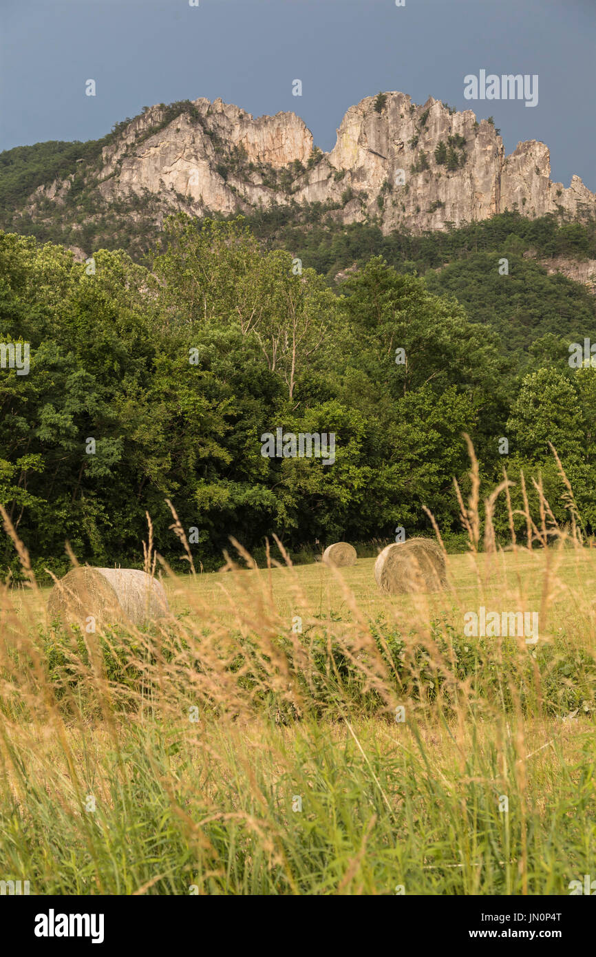 Seneca Rocks, West Virginia - im Norden und Süden Gipfeln des Seneca Rocks über einen Acker. Seneca Rocks ist ein beliebtes klettern Bereich in Monong Stockfoto