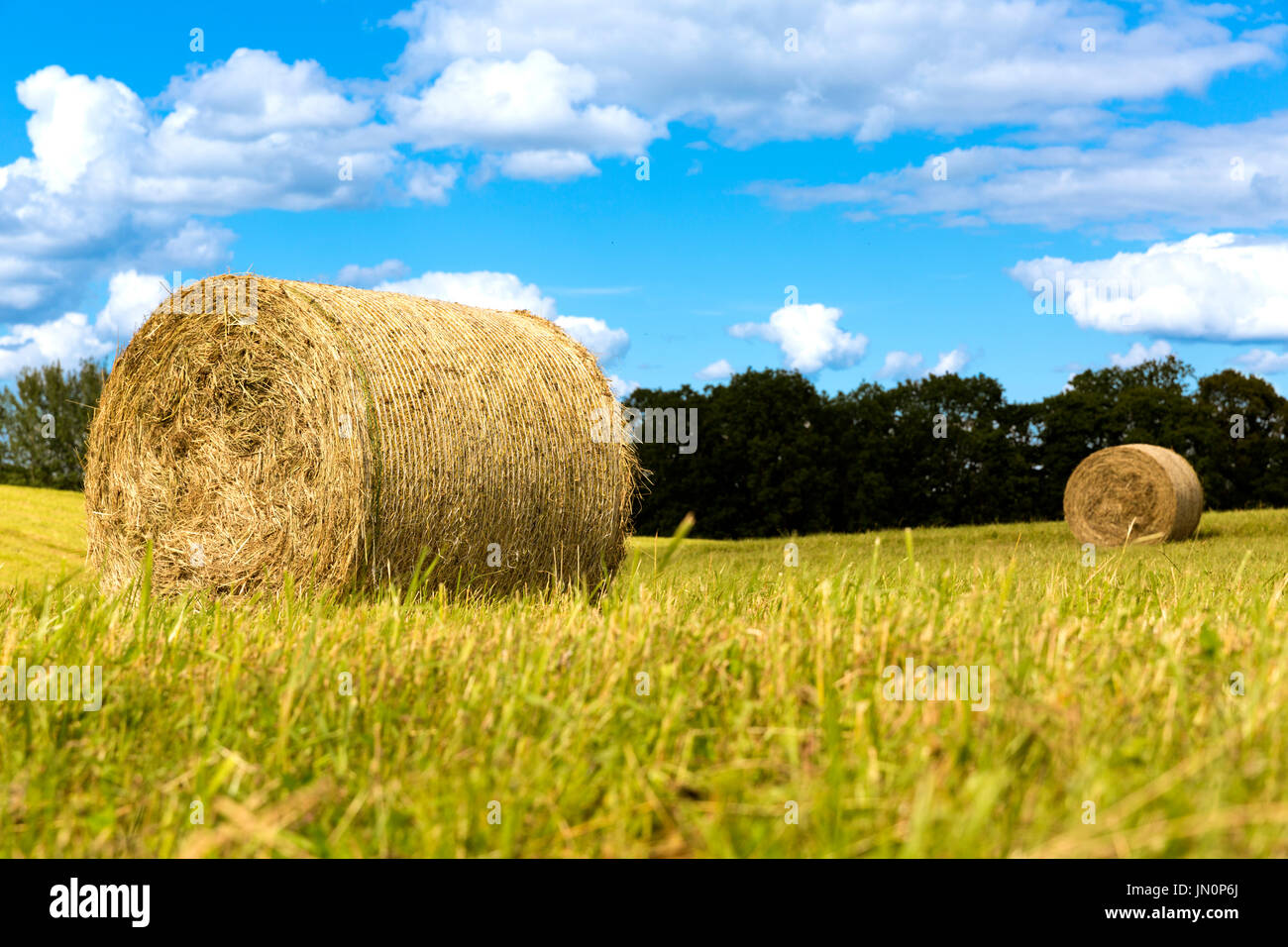 Heuballen auf dem Feld nach der Ernte, Landschaft Stockfoto