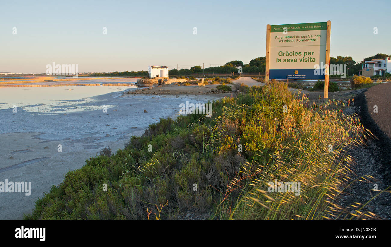 Salinas Blick mit Info-Schild in Ses Salines Naturpark (Formentera, Balearen, Spanien) Stockfoto