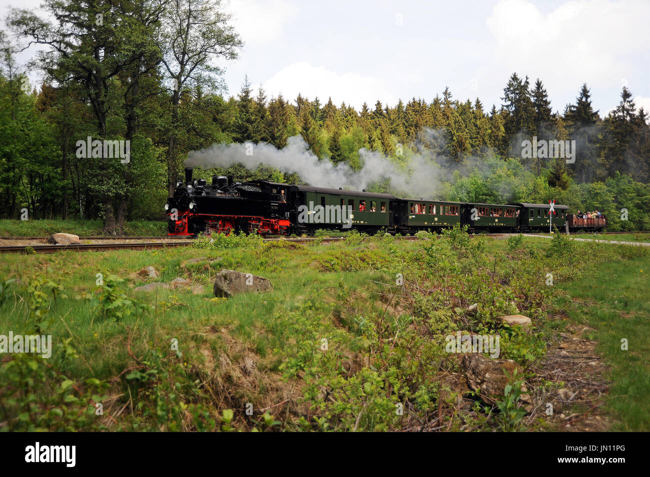 99 5901 mit den 10:47-mittwochs nur Vintage Zug von Wernigerode zum Brocken fährt Drei Annen Hohne, Harzer Schmalspurbahnen. Stockfoto
