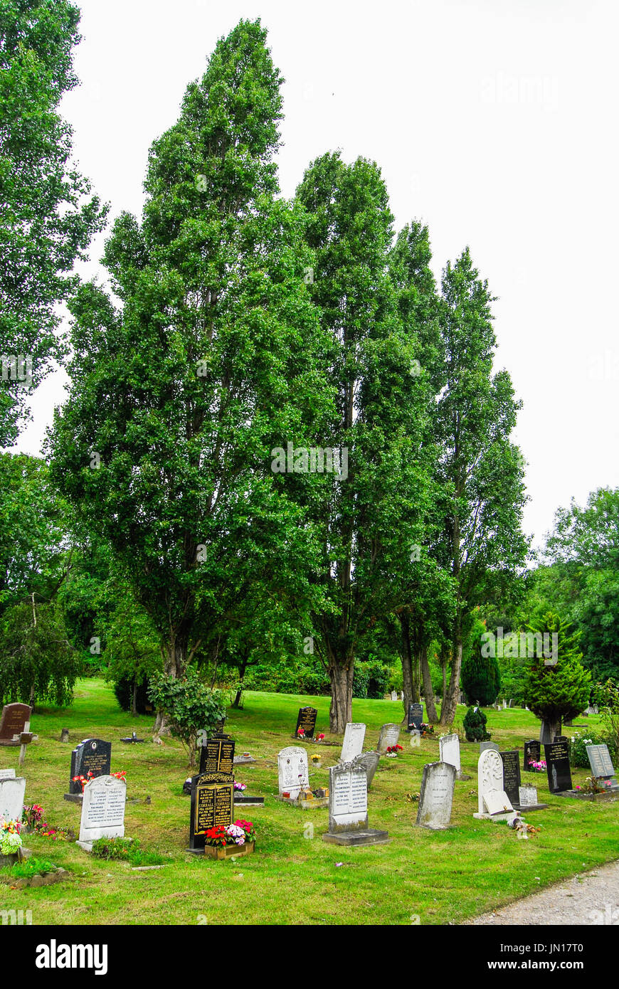 Nunhead Friedhof Stockfoto