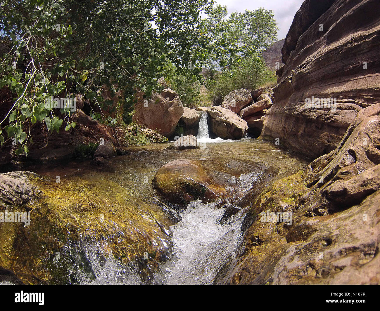 Flagstaff, Arizona, USA. 25. Juli 2017. 24. Juli 2017. Thunder River fließt klar und frisch mit Ursprung aus einer Quelle spritzenden aus einem Kalkstein-Felswand. Eine Gruppe von Fluss Läufer auf den Weg von Lees Ferry Arizona auf einer 221 Meile anständige des Colorado River durch die geologische Zeit ausgesetzt durch Erosion im Grand Canyon National Park Diamond Creek im Hualapi Indianer Reservat am westlichen Rand des Parks. Bildnachweis: Ralph Lauer/ZUMA Draht/Alamy Live-Nachrichten Stockfoto