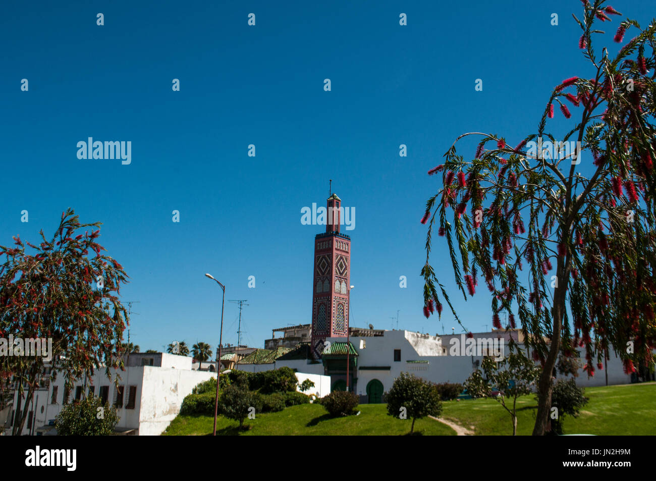 Tanger, Marokko: Blick auf die Sidi Bou Abib Moschee, mit Blick auf den Mendoubia-Gärten, 1917 erbaut und dekoriert in polychrome Fliesen Stockfoto