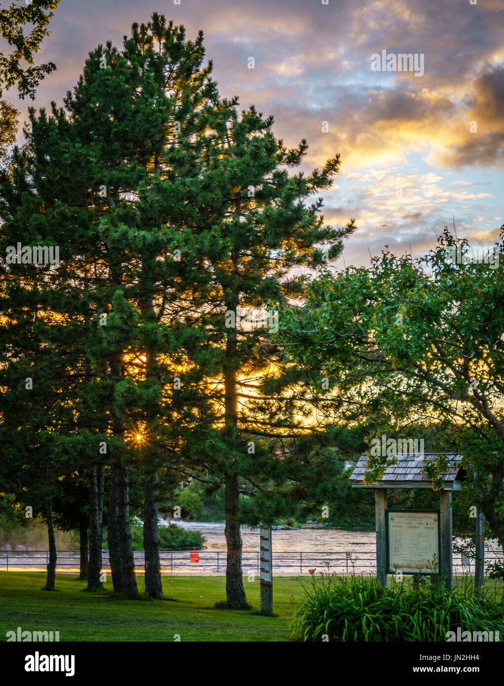Sonnenuntergang über Baum in Arnprior Ontario Stockfoto