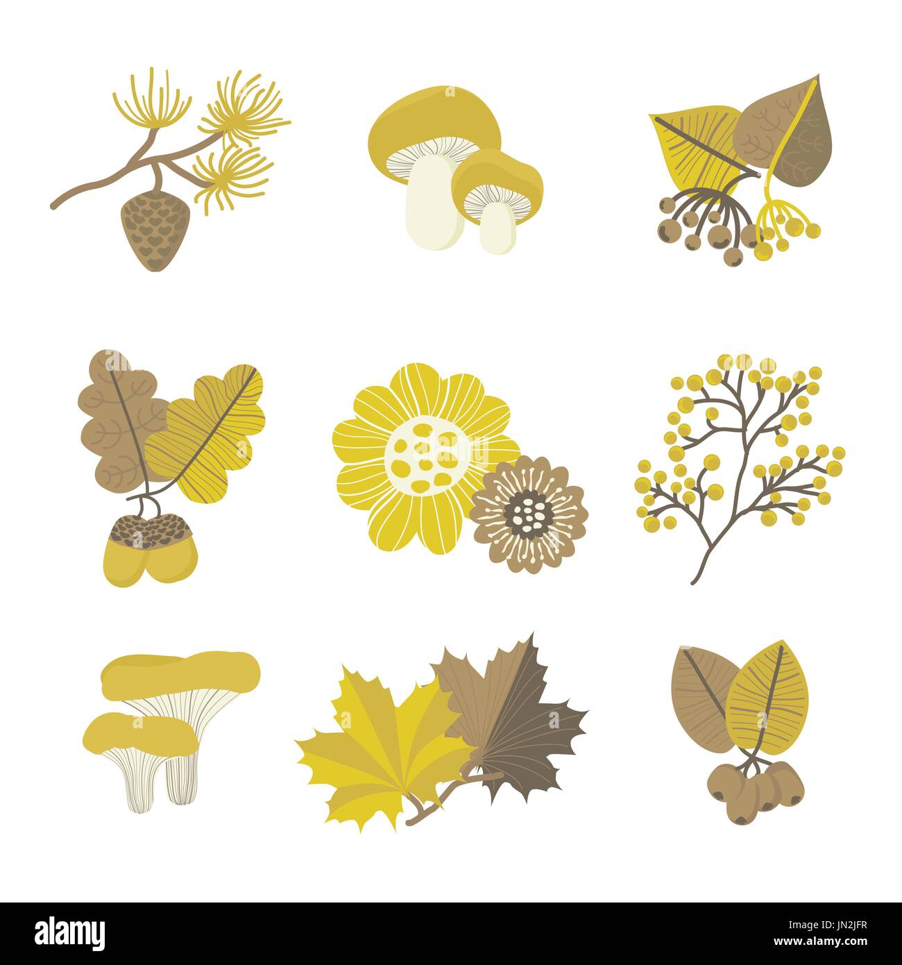 Bunte Vektor Illustration Wald set mit floralen Naturelemente für Design und Dekor. Orientalischen Stil. Stock Vektor