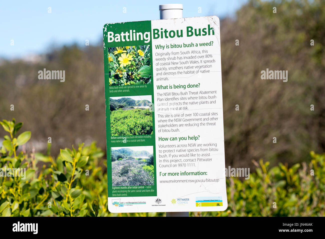 Kämpfen bitou Bush sign in New South Wales, Australien Stockfoto