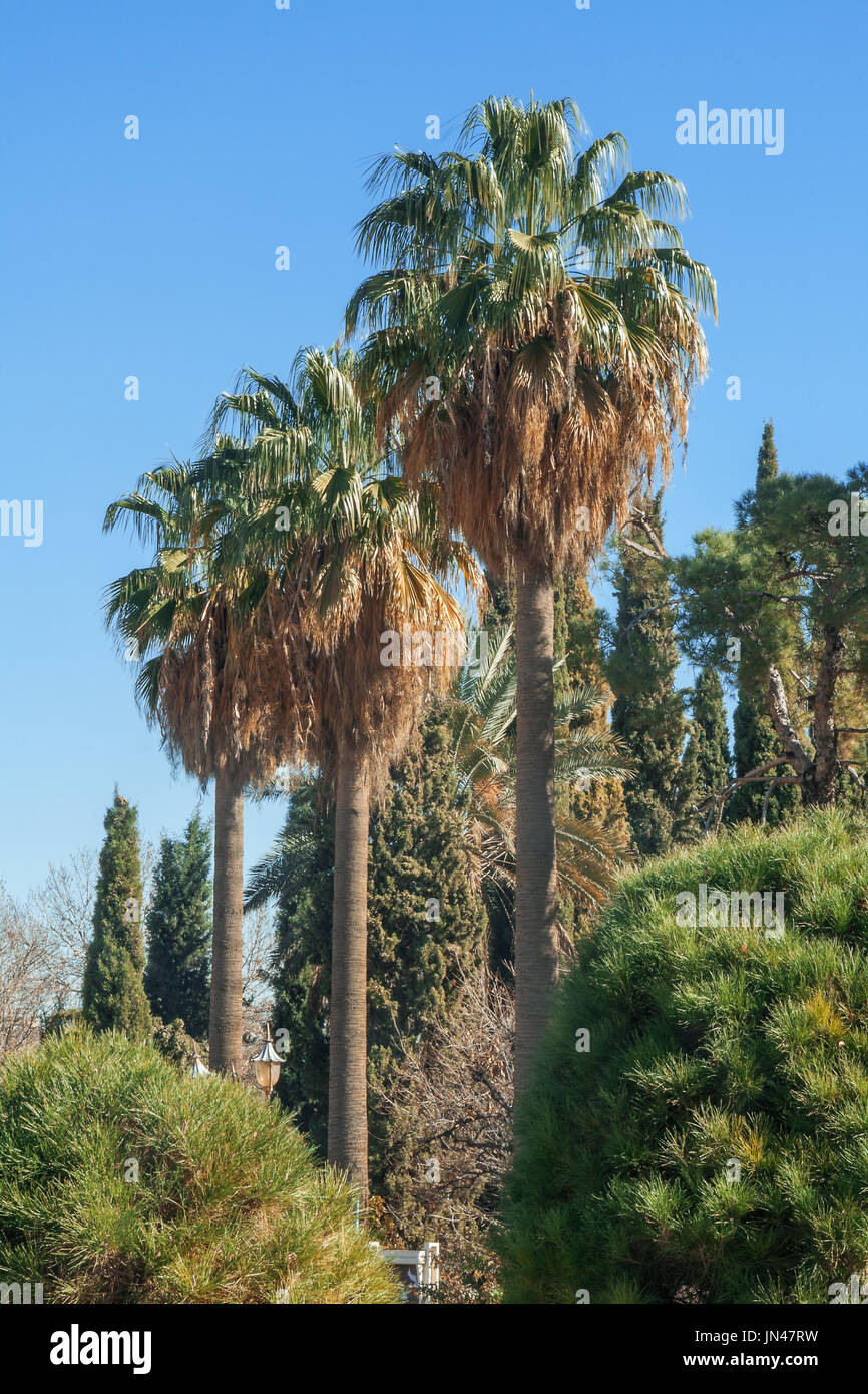 Eram Garten oder Baghe Eram (Garten des Paradieses) ist ein großer