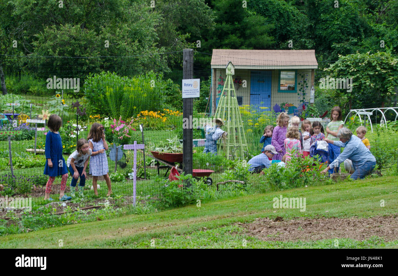 Kinder in Yarmouth Community Garten Camp, Maine, USA Stockfoto