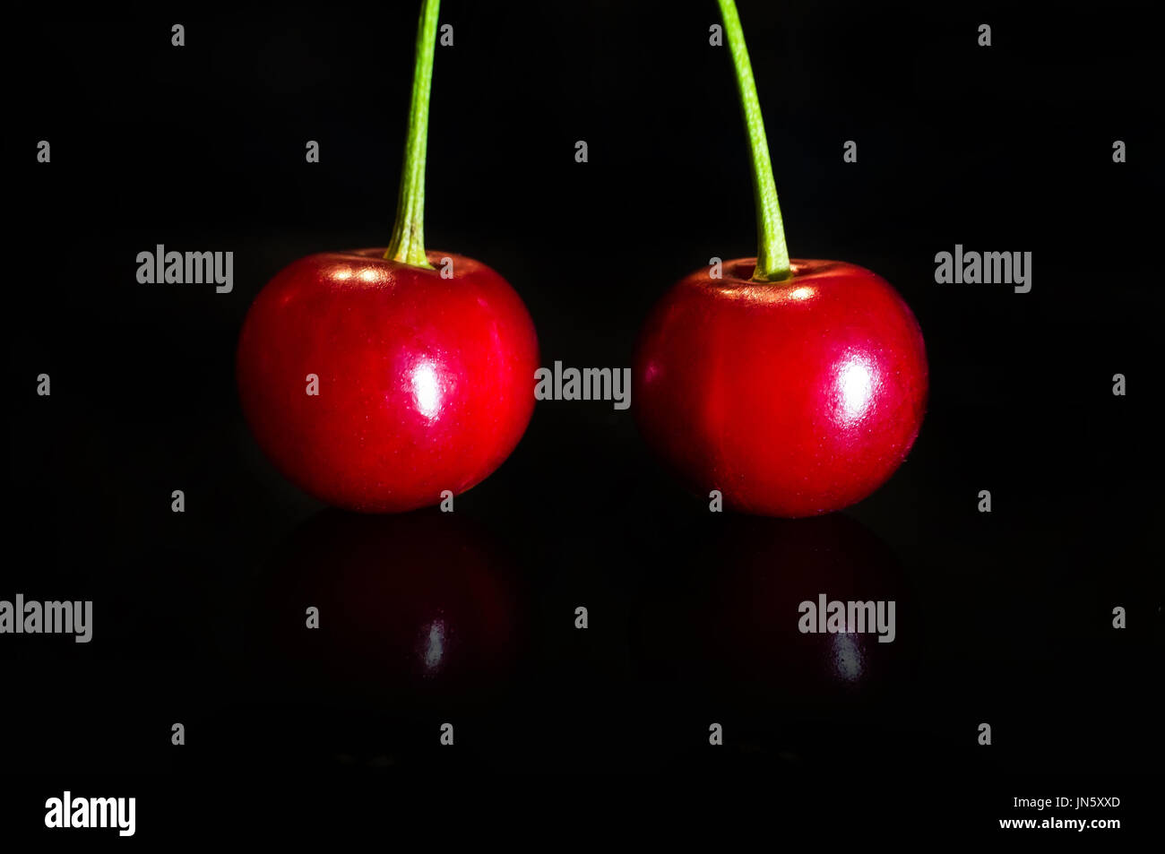 Rote Kirschen auf schwarz isoliert Hintergrund bei Nacht. zwei Kirschen auf einen grünen Zweig Stockfoto