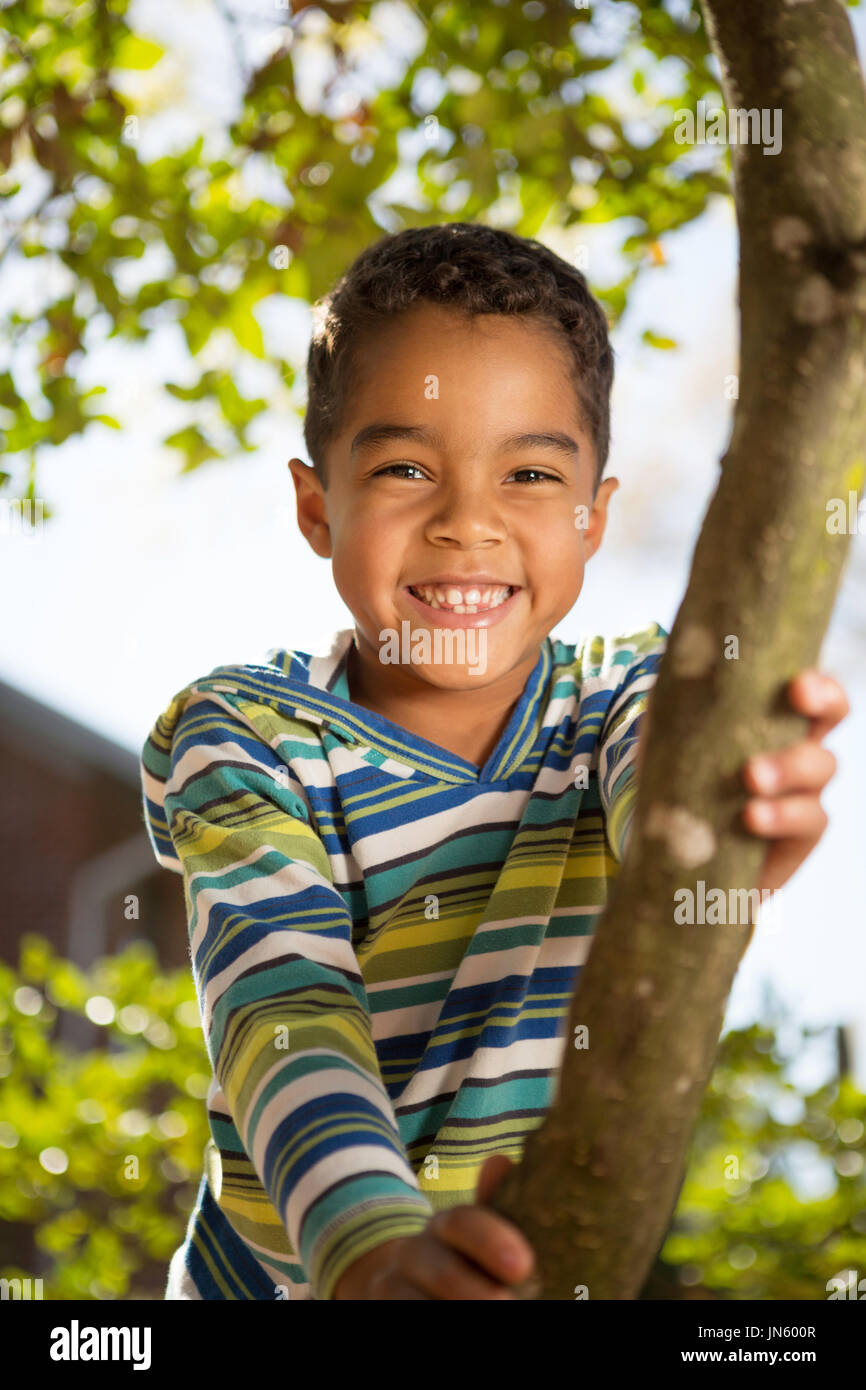 Kleiner Junge spielt in einem Baum. Stockfoto