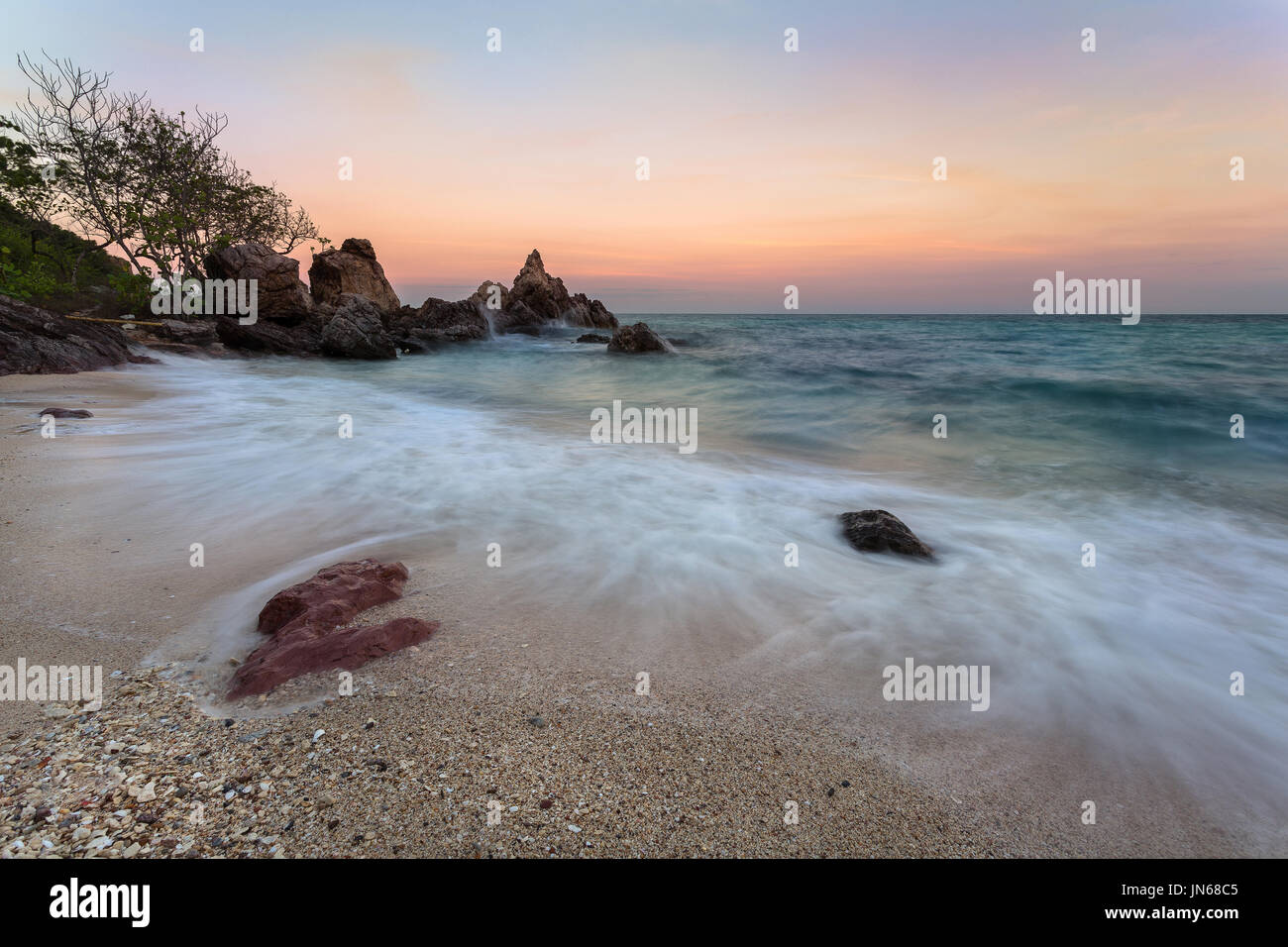 Stillleben-bildende Kunst-Element von Sea life Stockfoto