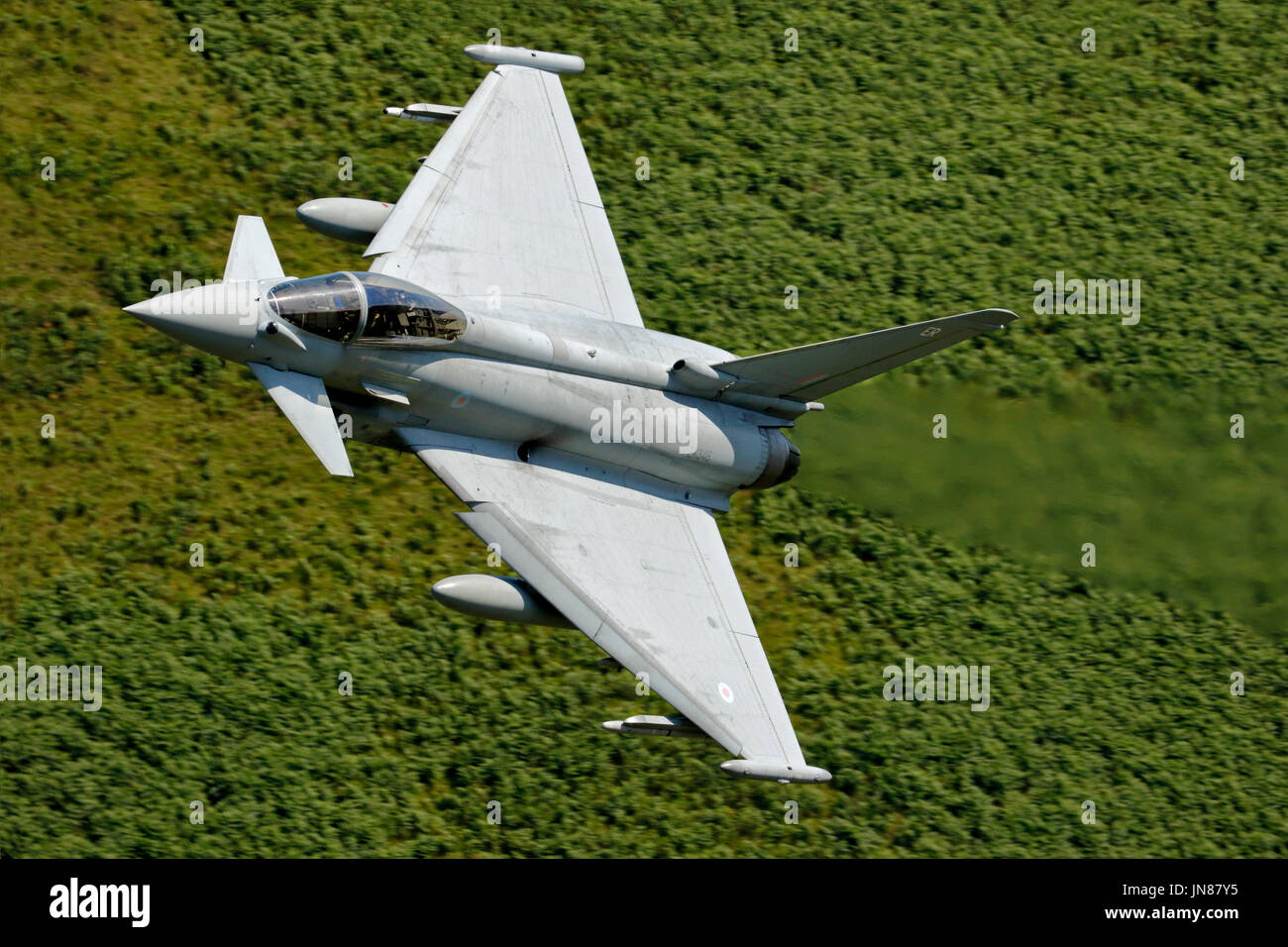 ZK 346 Eurofighter Typhoon der Royal Air Force FGR.4 flying low level in der Walisischen Truppenübungsplatz LFA7, Mach Loop Wales Stockfoto