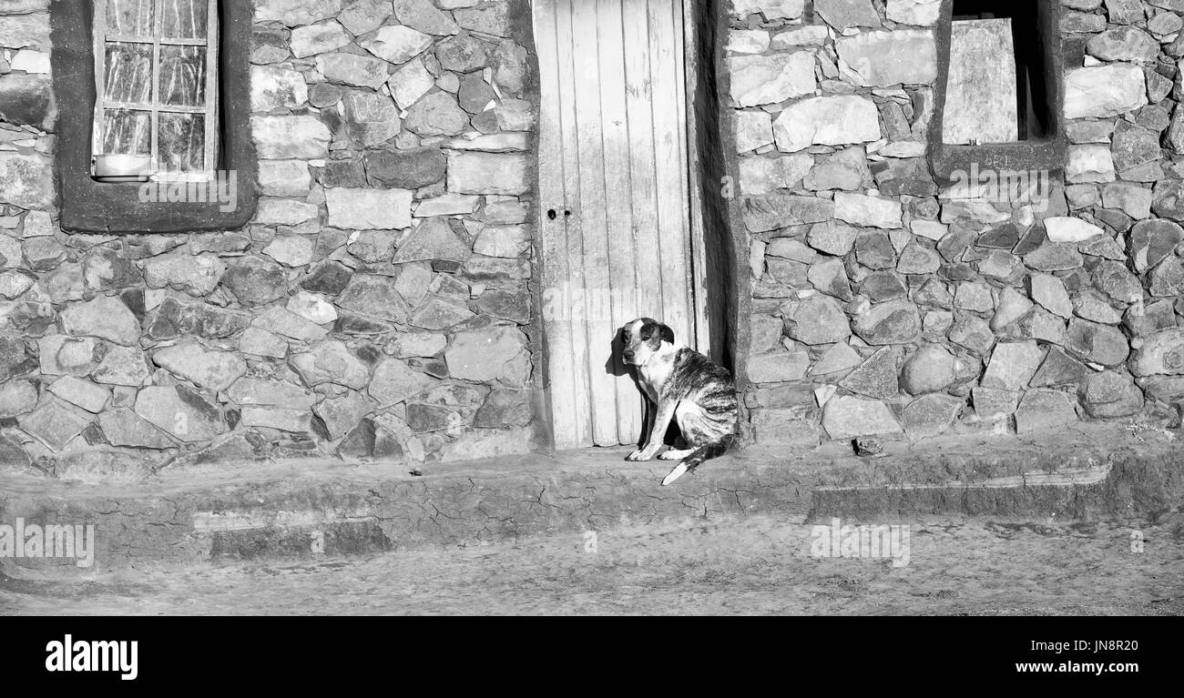 in der Nähe ein Haus des Hundes alleine warten Stockfoto