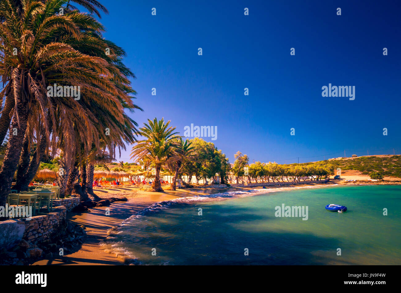 Agia Irini Beach, Insel Paros, Griechenland. Wunderschöne griechische Strand mit Palmen in Kykladen Stockfoto