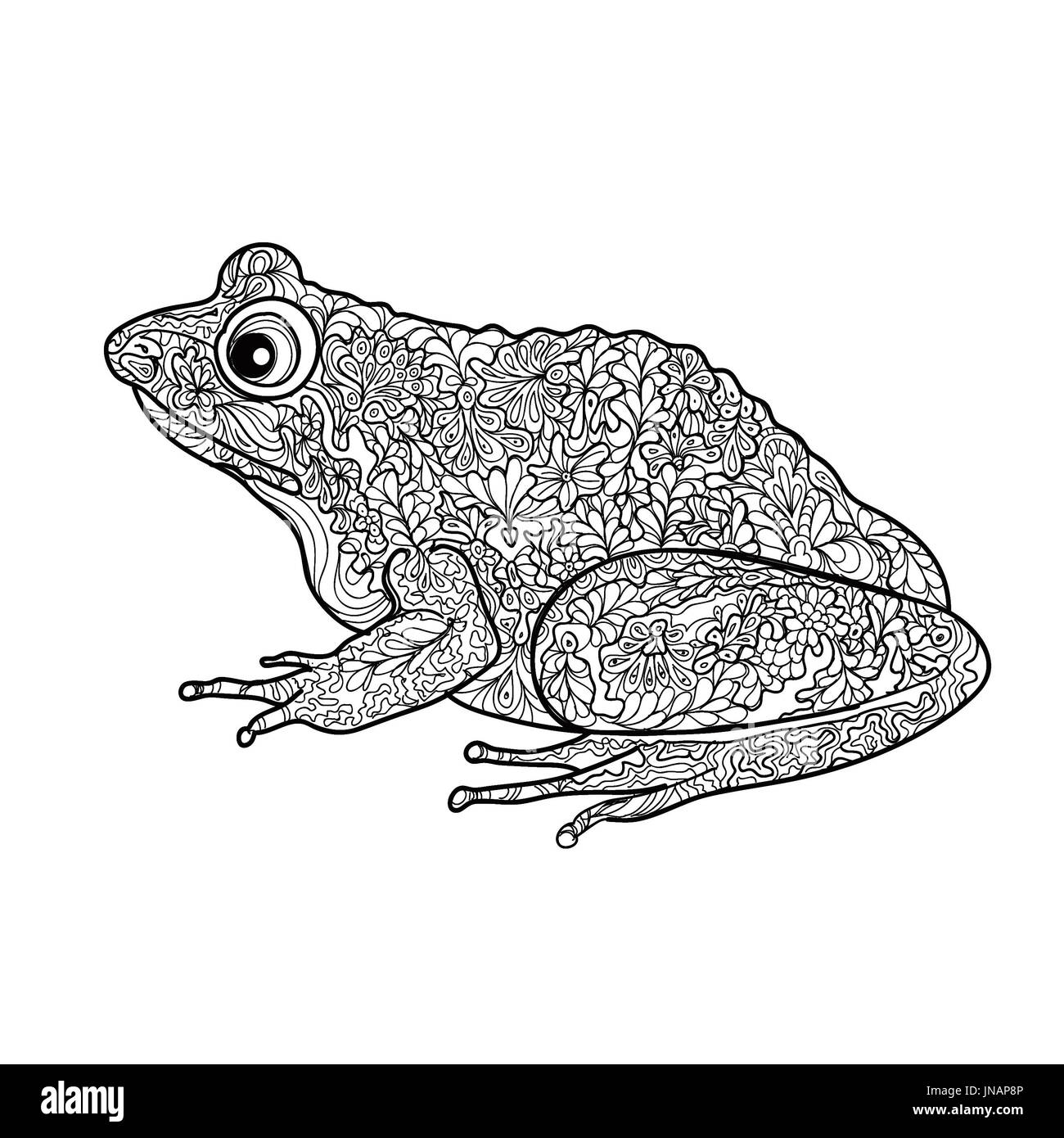 Frosch Schwarzweiß-Stockfotos und -bilder - Alamy