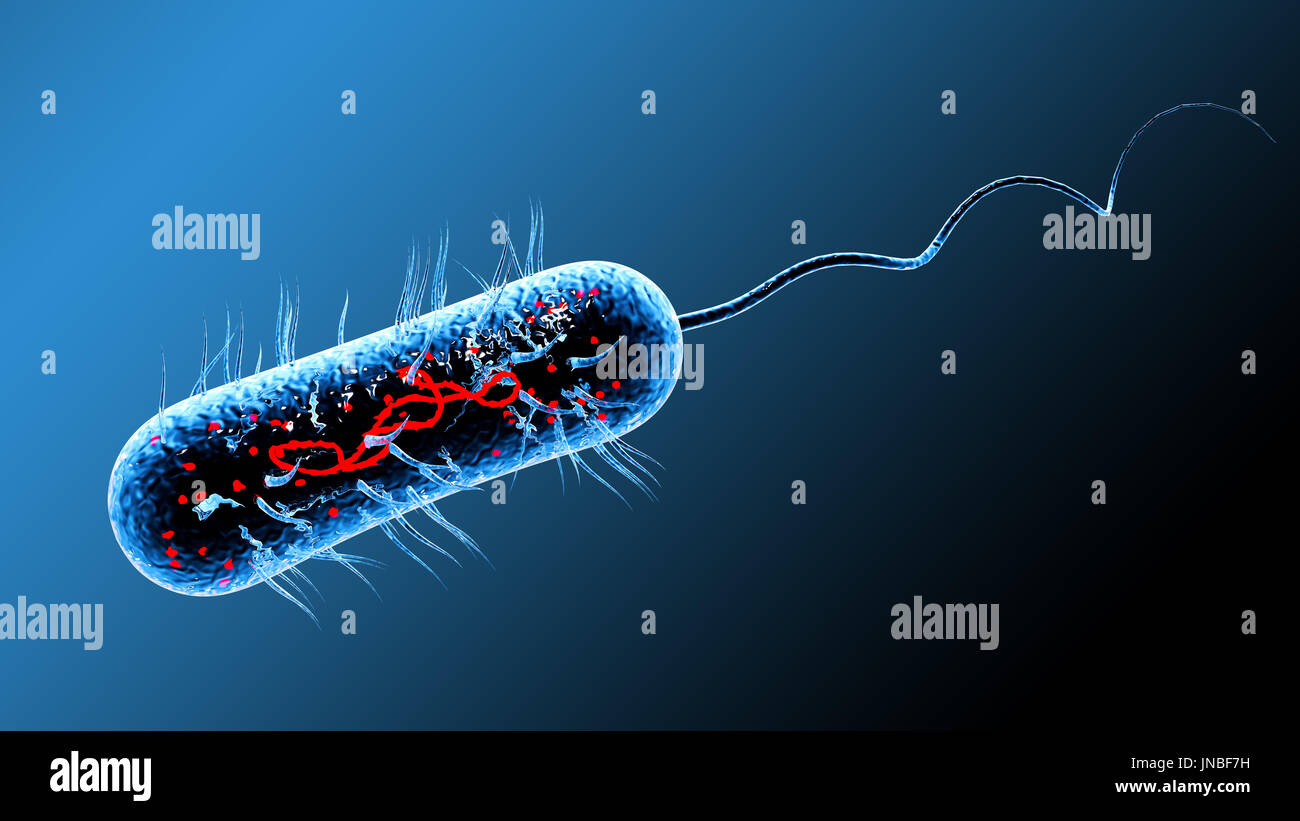 Bakterien-Virus-Zelle-Makro. 3D Render-Hintergrund Stockfoto