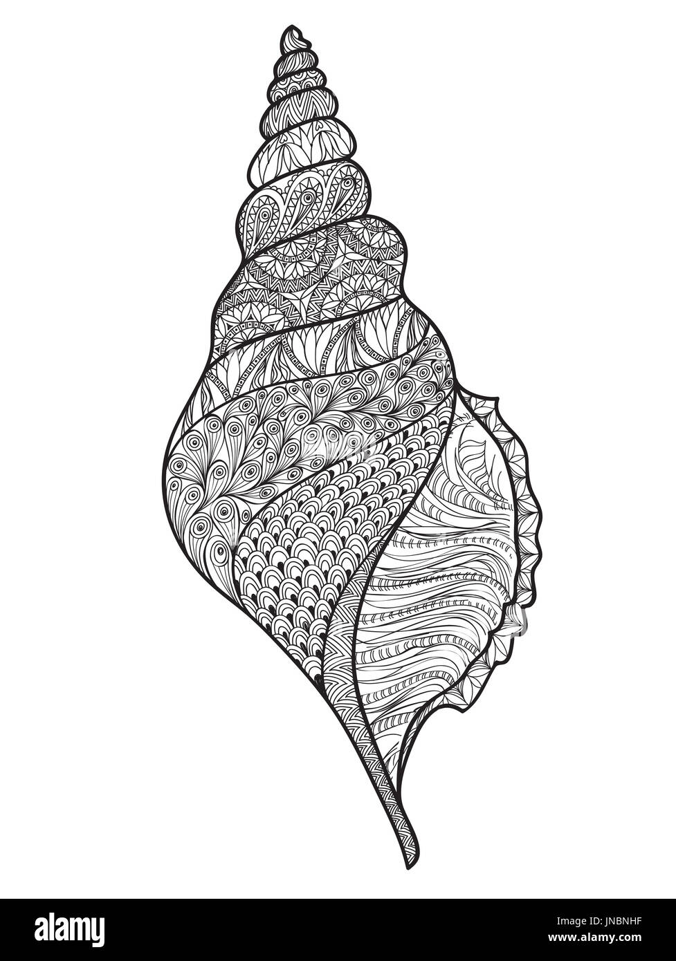 Seashell isoliert auf weißem Hintergrund. Hand gezeichnet doodle Sea Shell-Vektor-Illustration. Stockfoto