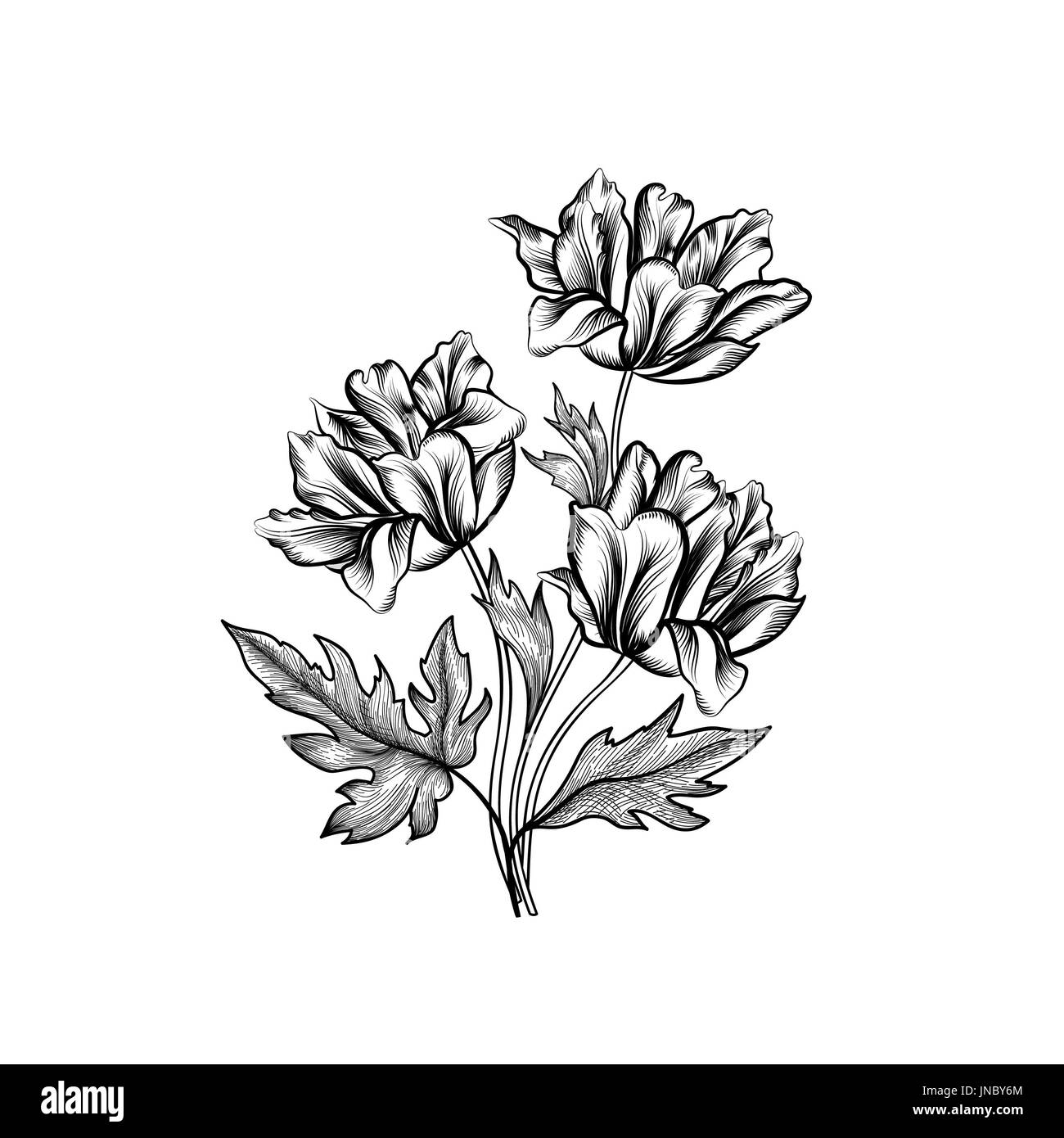 Blumenrahmen mit Sommerblumen. Blumenstrauß Withflower Tulpe. Vintage Grußkarte mit Blumen. Bleistift gedeihen Zeichnungsrahmen. Floral staatlich Stockfoto