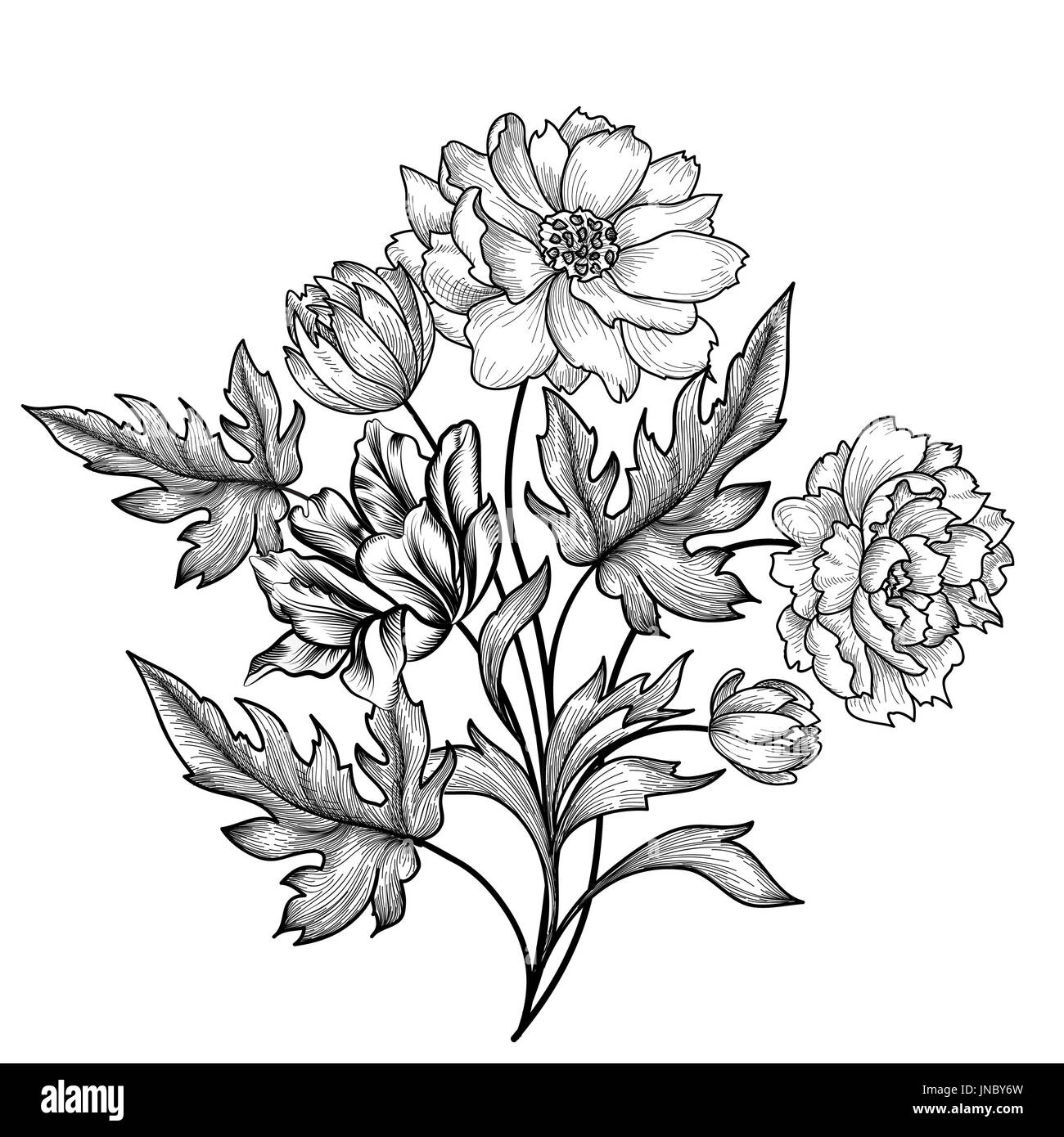 Set mit Blumenrahmen und Sommerblumen. Blumenstrauß mit Rose. Vintage-Grußkarte mit Blumenrand. Blumenhintergrund. Stockfoto